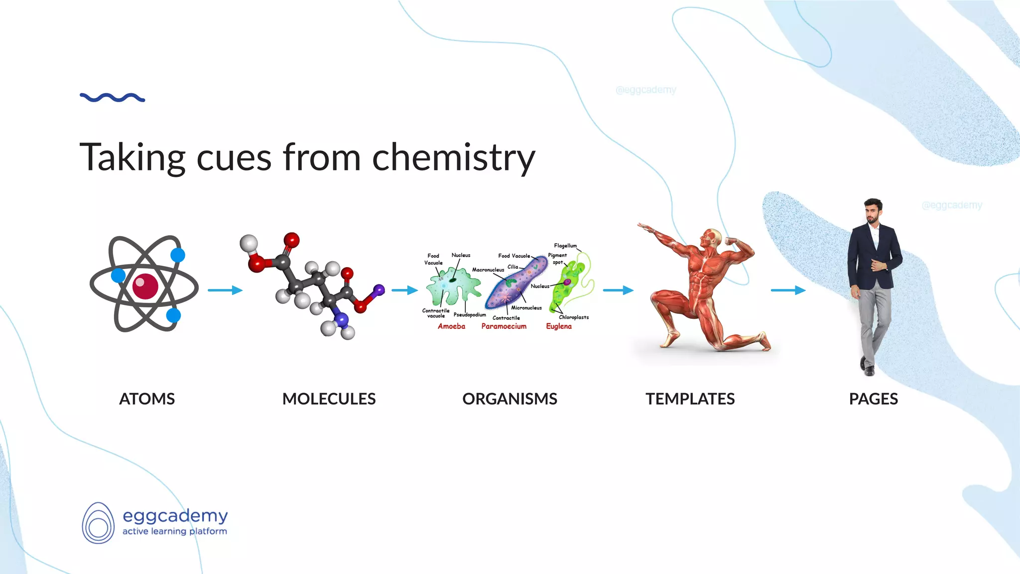 Taking cues from chemistry
ATOMS MOLECULES ORGANISMS TEMPLATES PAGES
 