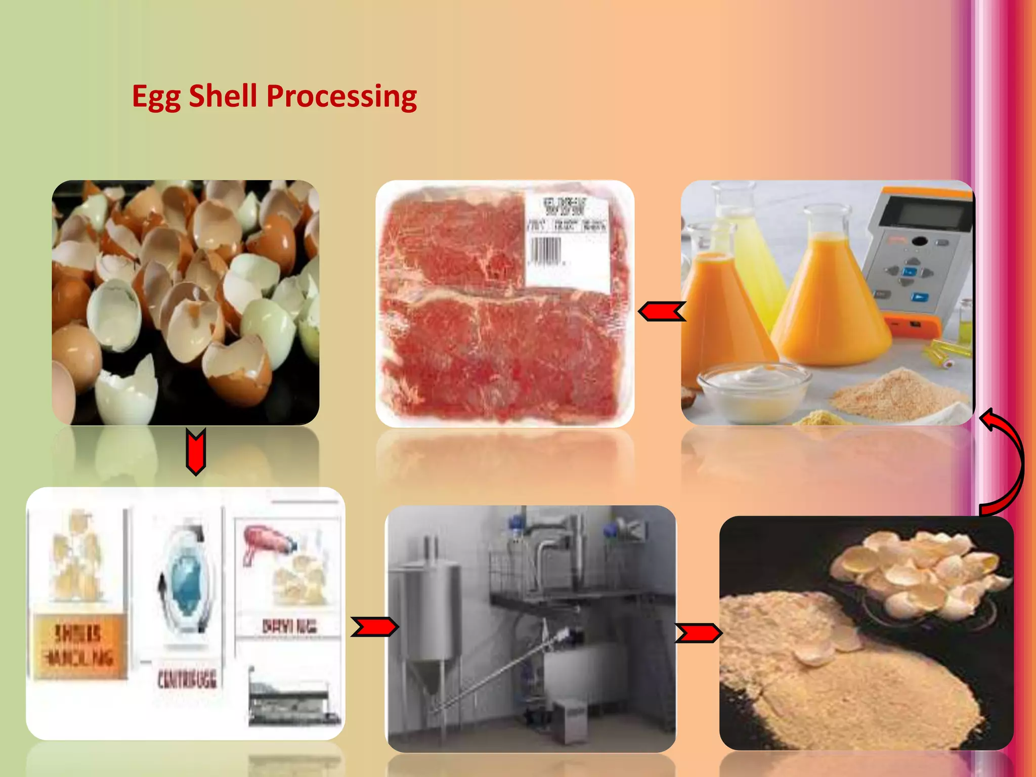 Egg Shell Processing
 