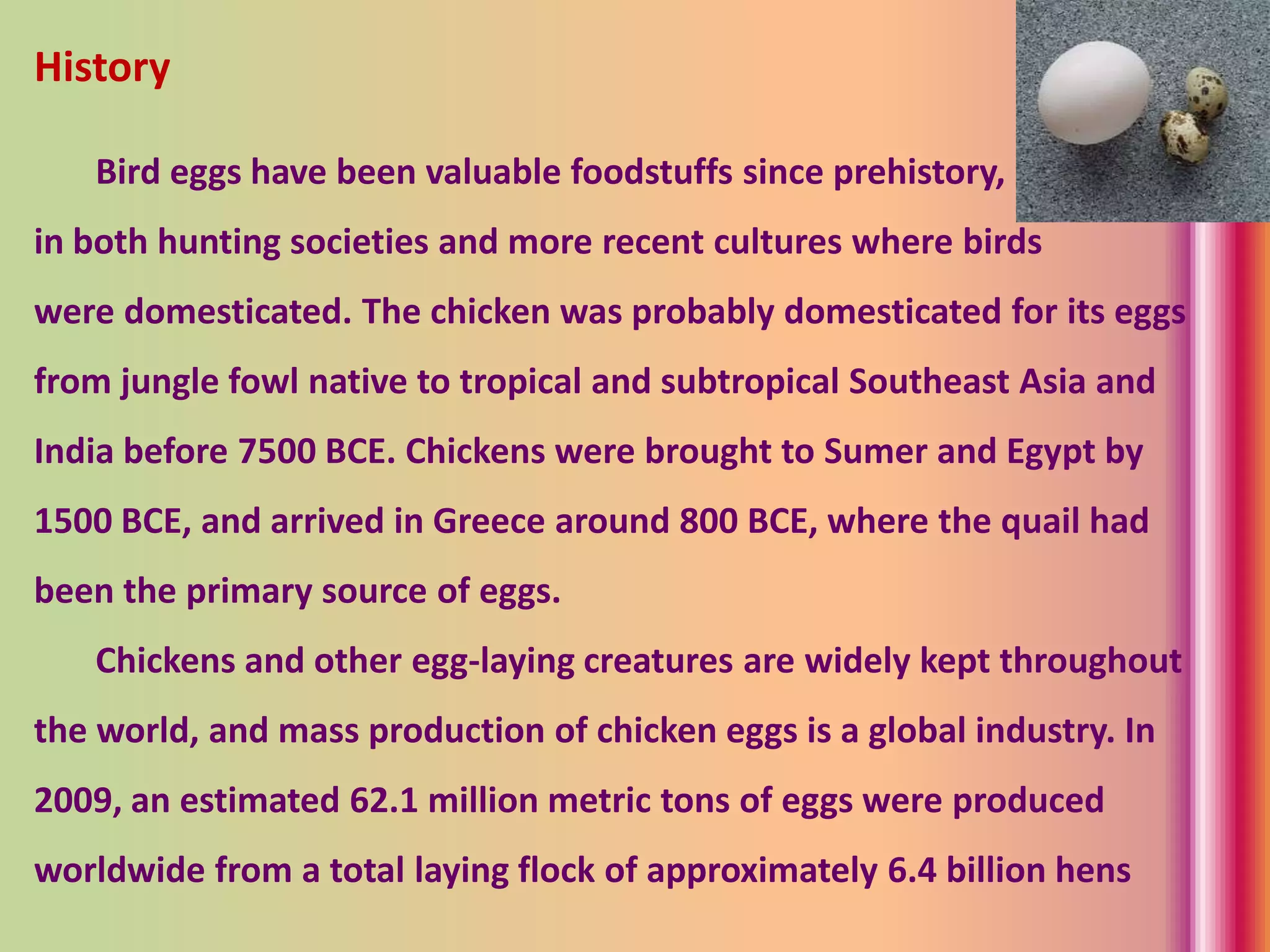 History
Bird eggs have been valuable foodstuffs since prehistory,
in both hunting societies and more recent cultures where birds
were domesticated. The chicken was probably domesticated for its eggs
from jungle fowl native to tropical and subtropical Southeast Asia and
India before 7500 BCE. Chickens were brought to Sumer and Egypt by
1500 BCE, and arrived in Greece around 800 BCE, where the quail had
been the primary source of eggs.
Chickens and other egg-laying creatures are widely kept throughout
the world, and mass production of chicken eggs is a global industry. In
2009, an estimated 62.1 million metric tons of eggs were produced
worldwide from a total laying flock of approximately 6.4 billion hens
 