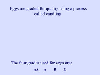 Eggs are graded for quality using a process
called candling.
The four grades used for eggs are:
AA A B C
 