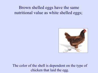 Brown shelled eggs have the same
nutritional value as white shelled eggs;
The color of the shell is dependent on the type of
chicken that laid the egg.
 
