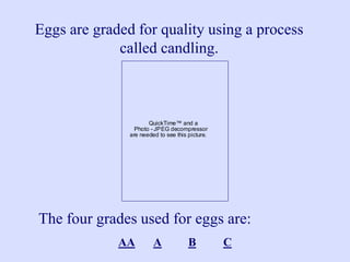 QuickTime™ and a
Photo - JPEG decompressor
are needed to see this picture.
Eggs are graded for quality using a process
called candling.
The four grades used for eggs are:
AA A B C
 