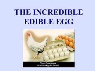 THE INCREDIBLE
EDIBLE EGG
 