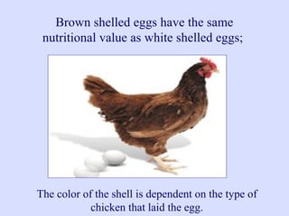 Brown shelled eggs have the same
nutritional value as white shelled eggs;
The color of the shell is dependent on the type of
chicken that laid the egg.
 
