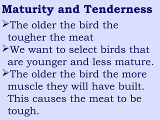 Maturity and Tenderness
The older the bird the
tougher the meat
We want to select birds that
are younger and less mature.
The older the bird the more
muscle they will have built.
This causes the meat to be
tough.
 