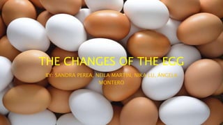 THE CHANGES OF THE EGG
BY: SANDRA PEREA, NEILA MARTÍN, NIKA LU, ÁNGELA
MONTERO
 