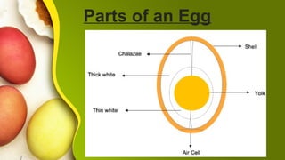 Mise en Place Egg Dish grade 10- l1.pptx