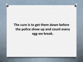 The cure is to get them down before
 the police show up and count every
             egg we break.
 