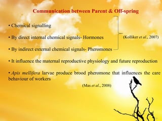 51
Communication between Parent & Off-spring
• Chemical signalling
• By direct internal chemical signals- Hormones
• By indirect external chemical signals- Pheromones
• It influence the maternal reproductive physiology and future reproduction
• Apis mellifera larvae produce brood pheromone that influences the care
behaviour of workers
(Kolliker et al., 2007)
(Mas et al., 2008)
 