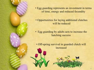 63
• Egg guarding represents an investment in terms
of time, energy and reduced fecundity
• Opportunities for laying additional clutches
will be reduced
• Egg guarding by adults acts to increase the
hatching success
• Off-spring survival in guarded clutch will
increased
 