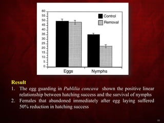 66
Result
1. The egg guarding in Publilia concava shown the positive linear
relationship between hatching success and the survival of nymphs
2. Females that abandoned immediately after egg laying suffered
50% reduction in hatching success
 