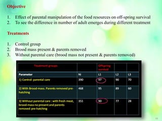 68
Objective
1. Effect of parental manipulation of the food resources on off-spring survival
2. To see the difference in number of adult emerges during different treatment
Treatments
1. Control group
2. Brood mass present & parents removed
3. Without parental care (brood mass not present & parents removed)
 