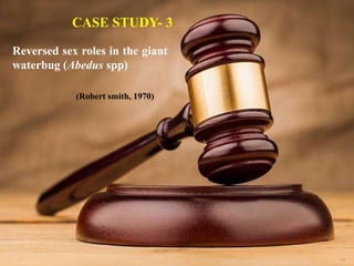 70
CASE STUDY- 3
Reversed sex roles in the giant
waterbug (Abedus spp)
(Robert smith, 1970)
 