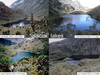 Lake Bujuku, 3891 m, 13.5 m depth       “glacial” lakes   Lower Kitandara, 3989 m, 11 m depth




Upper Kitandara, 4009 m, 14.5 m depth                        Lac du Speke, 4235 m, 17 m depth
 