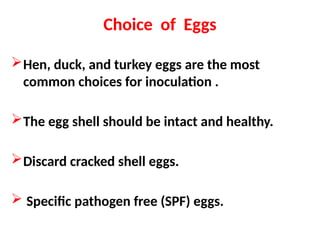 Choice of Eggs
Hen, duck, and turkey eggs are the most
common choices for inoculation .
The egg shell should be intact and healthy.
Discard cracked shell eggs.
 Specific pathogen free (SPF) eggs.
 