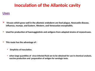 Inoculation of the Allantoic cavity
Uses
 Viruses which grow well in the allantoic endoderm are fowl plague, Newcastle disease,
influenza, mumps, and Eastern, Western, and Venezuelan encephalitis.
 Used for production of haemagglutinin and antigens from adapted strains of myxoviruses.
 This route has the advantage of :
• Simplicity of inoculation.
• when large quantities of virus-infected fluid are to be obtained for use in chemical analysis,
vaccine production and preparation of antigen for serologic tests.
 