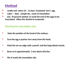 Method
 candle and select 10 – 12 days incubated hen’s egg.
 Label -- date, sample No., route of inoculation
 Use 70 percent alcohol to swab the end of the eggs to be
inoculated. Allow the alcohol to evaporate.
Marking the inoculation site :
 Note the position of the head of the embryo.
 Turn the egg a quarter turn away from the head.
 Mark the air-sac edge with a pencil, and the large blood vessels.
 Draw an X approximately 2 mm above this line.
 The X marks the inoculation site.
 
