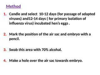 Method
1. Candle and select 10-12 days (for passage of adapted
viruses) and12-14 days ( for primary isolation of
influenza virus) incubated hen’s eggs .
2. Mark the position of the air sac and embryo with a
pencil.
3. Swab this area with 70% alcohal.
4. Make a hole over the air sac towards embryo.
 