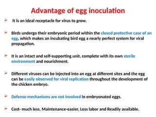 Advantage of egg inoculation
 It is an ideal receptacle for virus to grow.
 Birds undergo their embryonic period within the closed protective case of an
egg, which makes an incubating bird egg a nearly perfect system for viral
propagation.
 It is an intact and self-supporting unit, complete with its own sterile
environment and nourishment.
 Different viruses can be injected into an egg at different sites and the egg
can be easily observed for viral replication throughout the development of
the chicken embryo.
 Defense mechanisms are not involved in embryonated eggs.
 Cost- much less, Maintenance-easier, Less labor and Readily available.
 