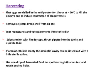 Harvesting
• First eggs are chilled in the refrigerator for 1 hour at – 20˚C to kill the
embryo and to induce contraction of blood vessels
• Remove cellotap. Break shell from air sac.
• Tear membranes and tip egg contents into sterile dish
• Seize amnion with fine forceps, thrust pipette into the cavity and
aspirate fluid.
• If amniotic fluid is scanty the amniotic cavity can be rinsed out with a
little sterile saline.
• Use one drop of harvested fluid for spot haemaglutination test,and
retain positve fluids.
 