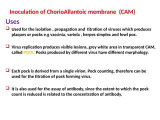 Inoculation of ChorioAllantoic membrane (CAM)
Uses
 Used for the isolation , propagation and titration of viruses which produces
plaques or pocks e.g vaccinia, variola , herpes simplex and fowl pox.
 Virus replication produces visible lesions, grey white area in transparent CAM,
called POCK. Pocks produced by different virus have different morphology.
 Each pock is derived from a single virion. Pock counting, therefore can be
used for the titration of pock forming virus.
 It is also used for the assay of antibody, since the extent to which the pock
count is reduced is related to the concentration of antibody.
 