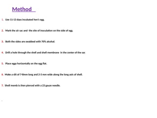 Method
1. Use 11-13 days incubated hen’s egg.
2. Mark the air sac and the site of inoculation on the side of egg.
3. Both the sides are swabbed with 70% alcohal.
4. Drill a hole through the shell and shell membrane in the center of the sac
5. Place eggs horizontally on the egg flat.
6. Make a slit of 7-8mm long and 2-3 mm wide along the long axis of shell.
7. Shell memb is then pierced with a 23 gauze needle.
.
 .

 