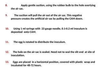 8. Apply gentle suction, using the rubber bulb to the hole overlying
the air sac.
9. The suction will pull the air out of the air sac. This negative
pressure creates the artificial air sac by pulling the CAM down.
10. Using 1 ml syringe with 23 gauge needle, 0.1-0.2 ml inoculum is
deposited onto CAM.
11. The egg is rotated to distribute the inoculum.
12. The hole on the air sac is sealed. Need not to seal the slit end at site of
inoculation.
13. Eggs are placed in a horizontal position, covered with plastic wrap and
incubated for 48-72 hours.
 