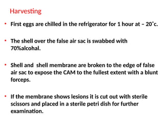 Harvesting
• First eggs are chilled in the refrigerator for 1 hour at – 20˚c.
• The shell over the false air sac is swabbed with
70%alcohal.
• Shell and shell membrane are broken to the edge of false
air sac to expose the CAM to the fullest extent with a blunt
forceps.
• If the membrane shows lesions it is cut out with sterile
scissors and placed in a sterile petri dish for further
examination.
 