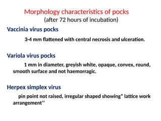Morphology characteristics of pocks
(after 72 hours of incubation)
Vaccinia virus pocks
3-4 mm flattened with central necrosis and ulceration.
Variola virus pocks
1 mm in diameter, greyish white, opaque, convex, round,
smooth surface and not haemorragic.
Herpex simplex virus
pin point not raised, irregular shaped showing“ lattice work
arrangement’’
 