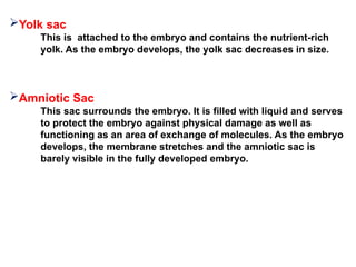 Yolk sac
This is attached to the embryo and contains the nutrient-rich
yolk. As the embryo develops, the yolk sac decreases in size.
Amniotic Sac
This sac surrounds the embryo. It is filled with liquid and serves
to protect the embryo against physical damage as well as
functioning as an area of exchange of molecules. As the embryo
develops, the membrane stretches and the amniotic sac is
barely visible in the fully developed embryo.
 
