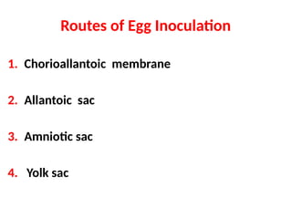 Routes of Egg Inoculation
1. Chorioallantoic membrane
2. Allantoic sac
3. Amniotic sac
4. Yolk sac
 