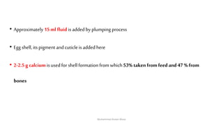 • Approximately 15 ml fluid is added by plumping process
• Egg shell, its pigment and cuticle is added here
• 2-2.5 g calcium is used for shell formation from which 53% taken from feed and 47 % from
bones
Muhammad Arslan Musa
 