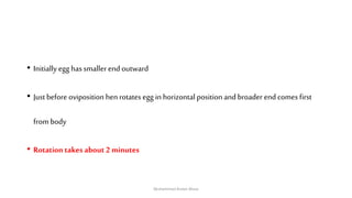 • Initially egg has smaller end outward
• Just before oviposition hen rotates egg in horizontal position and broader end comes first
from body
• Rotation takes about 2 minutes
Muhammad Arslan Musa
 