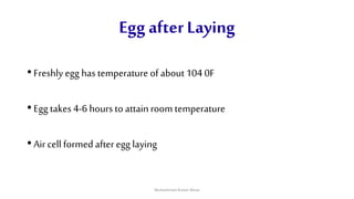 Egg after Laying
• Freshlyegg has temperature of about104 0F
• Egg takes 4-6 hours to attainroom temperature
• Air cell formed after egg laying
Muhammad Arslan Musa
 
