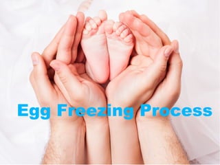 Egg Freezing Process
 