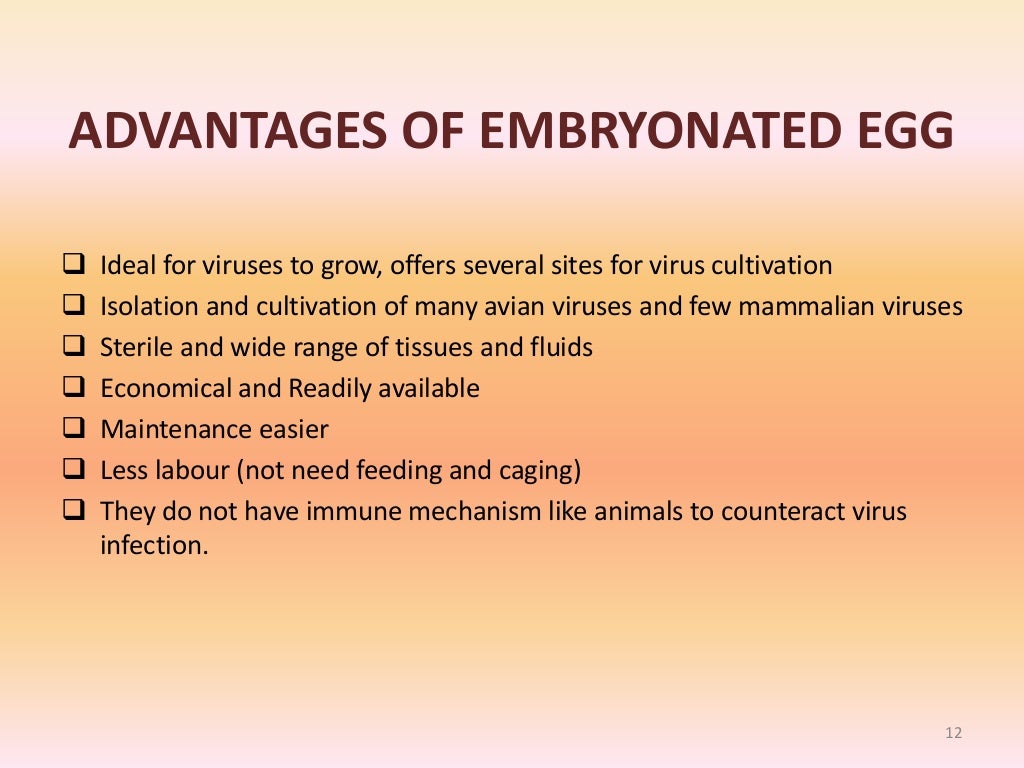Egg inoculation by Chinithung ngullie (2)