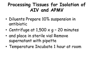 Processing Tissues for Isolation of
AIV and APMV
• Diluents Prepare 10% suspension in
antibiotic
• Centrifuge at 1,500 x g – 20 minutes
• and place in sterile vial Remove
supernatant with pipette
• Temperature Incubate 1 hour at room
 