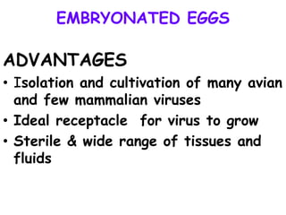 EMBRYONATED EGGS
ADVANTAGES
• Isolation and cultivation of many avian
and few mammalian viruses
• Ideal receptacle for virus to grow
• Sterile & wide range of tissues and
fluids
 