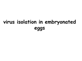 virus isolation in embryonated
eggs
 