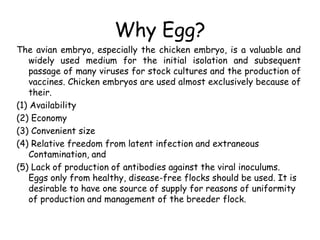 Why Egg?
The avian embryo, especially the chicken embryo, is a valuable and
widely used medium for the initial isolation and subsequent
passage of many viruses for stock cultures and the production of
vaccines. Chicken embryos are used almost exclusively because of
their.
(1) Availability
(2) Economy
(3) Convenient size
(4) Relative freedom from latent infection and extraneous
Contamination, and
(5) Lack of production of antibodies against the viral inoculums.
Eggs only from healthy, disease-free flocks should be used. It is
desirable to have one source of supply for reasons of uniformity
of production and management of the breeder flock.
 