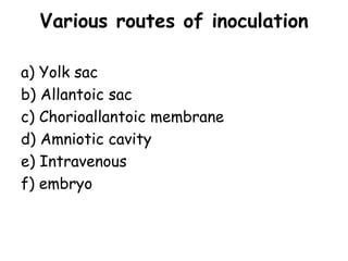 Various routes of inoculation
a) Yolk sac
b) Allantoic sac
c) Chorioallantoic membrane
d) Amniotic cavity
e) Intravenous
f) embryo
 