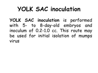 YOLK SAC inoculation
YOLK SAC inoculation is performed
with 5- to 8-day-old embryos and
inoculum of 0.2-1.0 cc. This route may
be used for initial isolation of mumps
virus
 