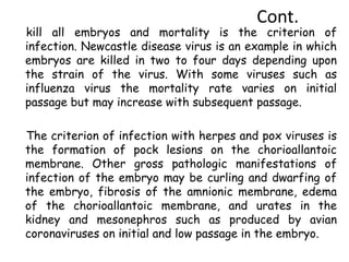 Cont.
kill all embryos and mortality is the criterion of
infection. Newcastle disease virus is an example in which
embryos are killed in two to four days depending upon
the strain of the virus. With some viruses such as
influenza virus the mortality rate varies on initial
passage but may increase with subsequent passage.
The criterion of infection with herpes and pox viruses is
the formation of pock lesions on the chorioallantoic
membrane. Other gross pathologic manifestations of
infection of the embryo may be curling and dwarfing of
the embryo, fibrosis of the amnionic membrane, edema
of the chorioallantoic membrane, and urates in the
kidney and mesonephros such as produced by avian
coronaviruses on initial and low passage in the embryo.
 