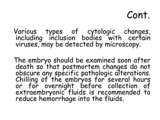 Cont.
Various types of cytologic changes,
including inclusion bodies with certain
viruses, may be detected by microscopy.
The embryo should be examined soon after
death so that postmortem changes do not
obscure any specific pathologic alterations.
Chilling of the embryos for several hours
or for overnight before collection of
extraembryonic fluids is recommended to
reduce hemorrhage into the fluids.
 