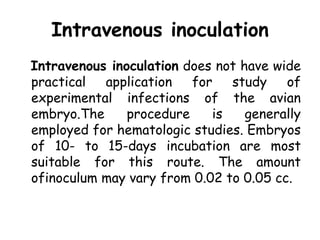 Intravenous inoculation
Intravenous inoculation does not have wide
practical application for study of
experimental infections of the avian
embryo.The procedure is generally
employed for hematologic studies. Embryos
of 10- to 15-days incubation are most
suitable for this route. The amount
ofinoculum may vary from 0.02 to 0.05 cc.
 