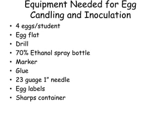 Equipment Needed for Egg
Candling and Inoculation
• 4 eggs/student
• Egg flat
• Drill
• 70% Ethanol spray bottle
• Marker
• Glue
• 23 guage 1” needle
• Egg labels
• Sharps container
 