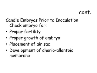 cont.
Candle Embryos Prior to Inoculation
Check embryo for:
• Proper fertility
• Proper growth of embryo
• Placement of air sac
• Development of chorio-allantoic
membrane
 