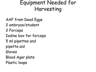 Equipment Needed for
Harvesting
AAF from Dead Eggs
2 embryos/student
2 Forceps
Iodine box for forceps
5 ml pipettes and
pipette aid
Gloves
Blood Agar plate
Plastic loops
 