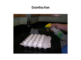Disinfection
 