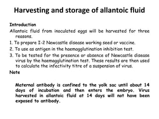 Harvesting and storage of allantoic fluid
Introduction
Allantoic fluid from inoculated eggs will be harvested for three
reasons.
1. To prepare I-2 Newcastle disease working seed or vaccine.
2. To use as antigen in the haemagglutination inhibition test.
3. To be tested for the presence or absence of Newcastle disease
virus by the haemagglutination test. These results are then used
to calculate the infectivity titre of a suspension of virus.
Note
Maternal antibody is confined to the yolk sac until about 14
days of incubation and then enters the embryo. Virus
harvested in allantoic fluid at 14 days will not have been
exposed to antibody.
 